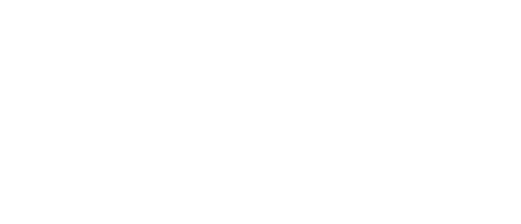logo Todito